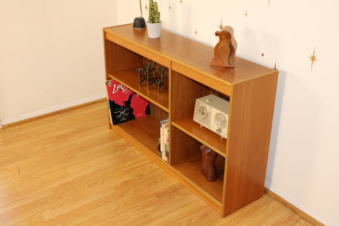 Danish Teak Low Bookcase/ Display Case / Record Holder