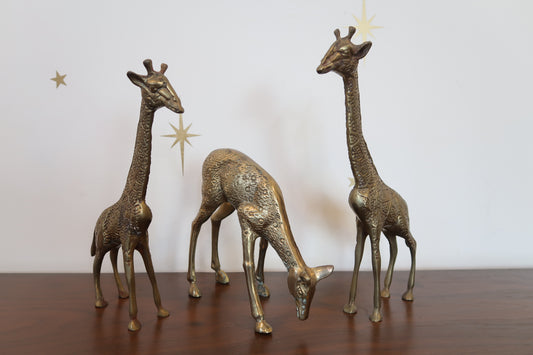 Trio of Brass Giraffes
